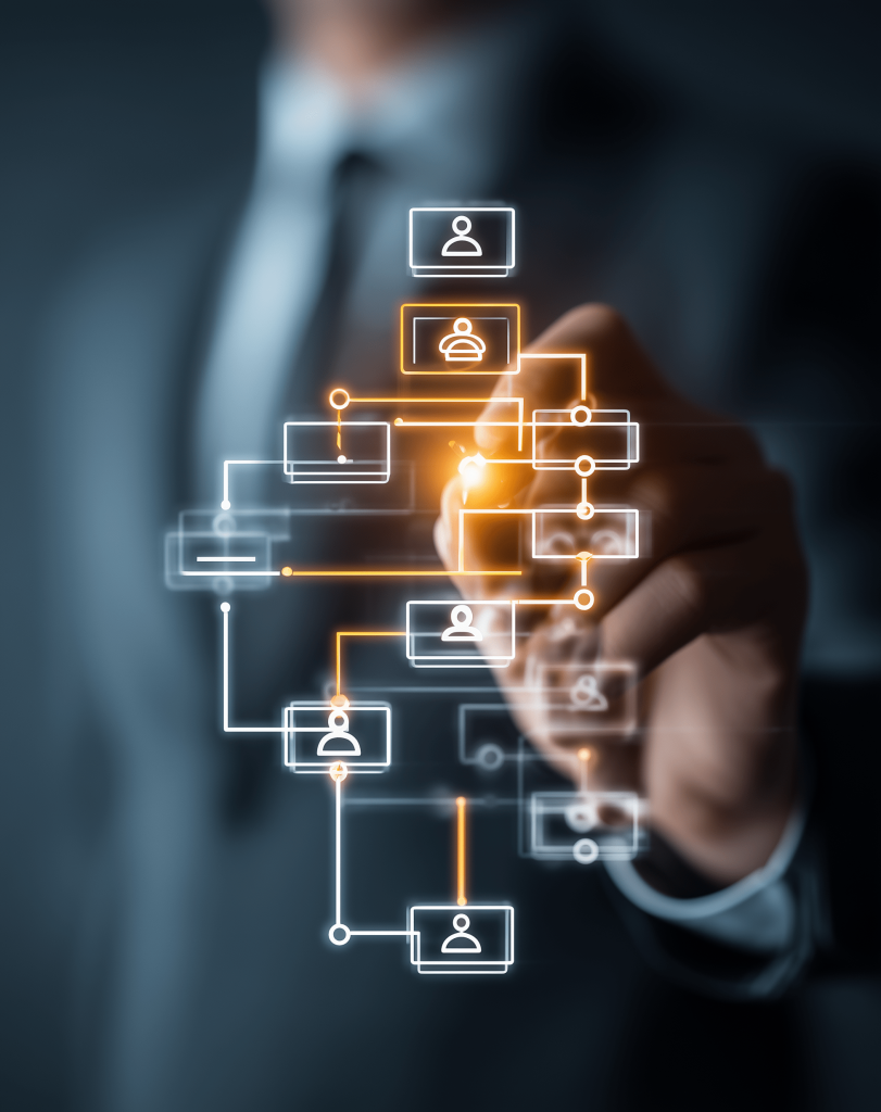 consultanta sisteme de management